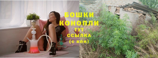 молекула духа Нефтекумск