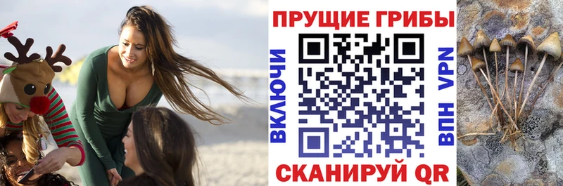 Галлюциногенные грибы мицелий  цены   Михайловск 